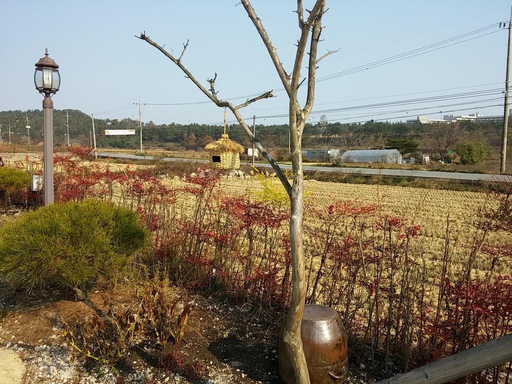 별빛여정펜션 경주 외부 사진