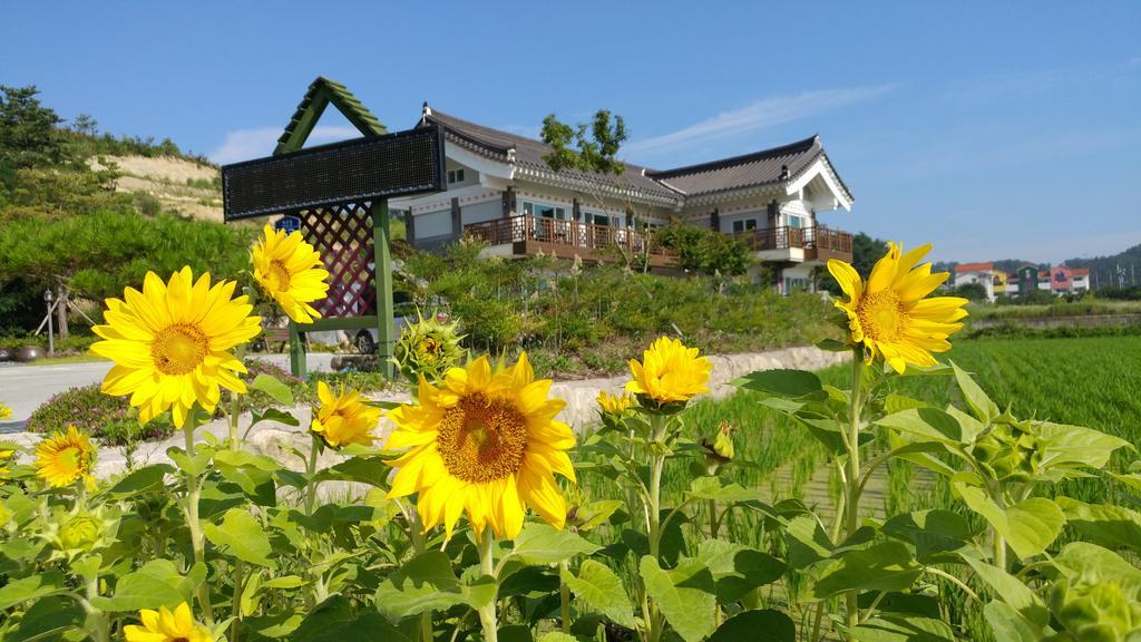 별빛여정펜션 경주 외부 사진